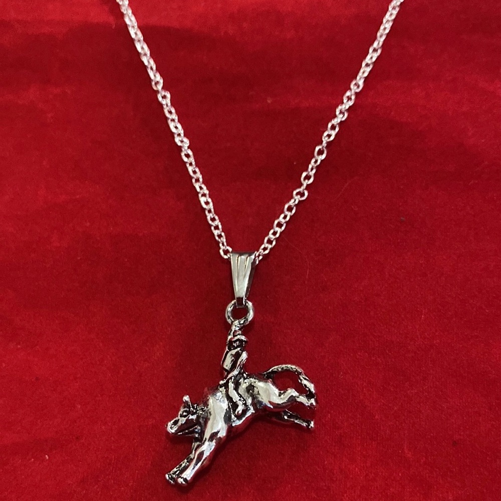 Bull Rider Necklace Rodeo - Picture 4 of 8